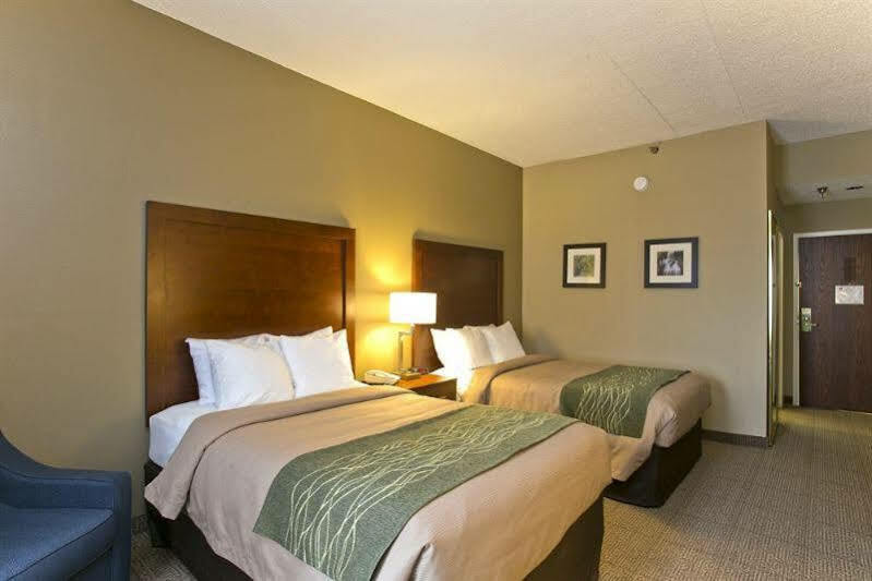Comfort Inn Aikens Center Мартінсбург Екстер'єр фото